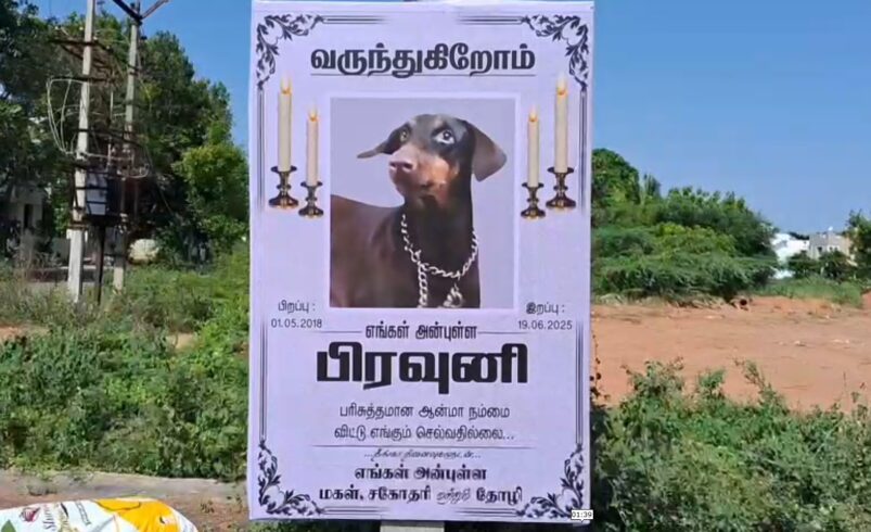 வளர்ப்பு நாய்க்கு… Rest in peace என்று ப்ளக்ஸ்..!