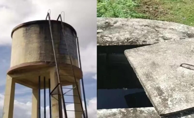 மீண்டும் ஓர் வேங்கை வயலா..? அதிருப்தி..!